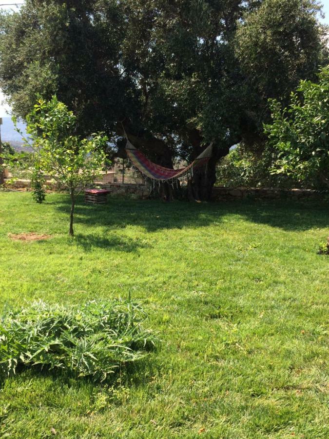 Anna'S Stone House Βίλα Μεγάλα Χωράφια Εξωτερικό φωτογραφία