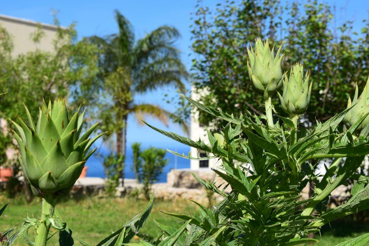 Anna'S Stone House Βίλα Μεγάλα Χωράφια Εξωτερικό φωτογραφία